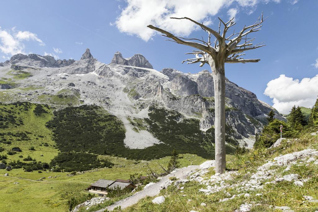 Berg-Spa & Hotel Zamangspitze Санкт-Галленкирх Экстерьер фото